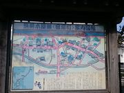 񂿂񂳂̖؉n̓eʐ^1