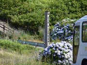 邭̓̉w@݂܂̓eʐ^1