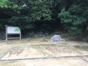 �J�c����̋g�c���A�a���n�̓��e�ʐ^1