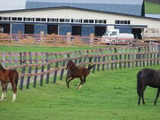 yosshy̐VTubh̓eʐ^2