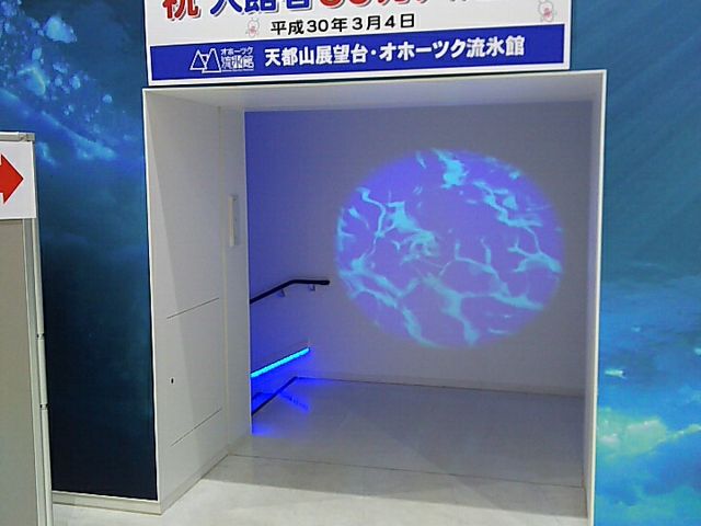 �L���G���A����_�I�z�[�c�N���X��