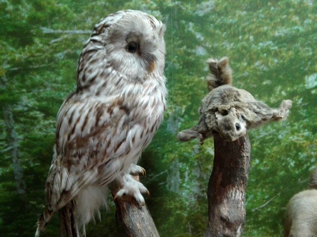 �����A_�w�_���r�W�^�[�Z���^�[