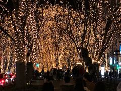 ς񂳂̒Tʂւ̓eʐ^1