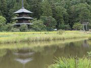 Ƃ񂳂̈vÔ_Ђ̓eʐ^1