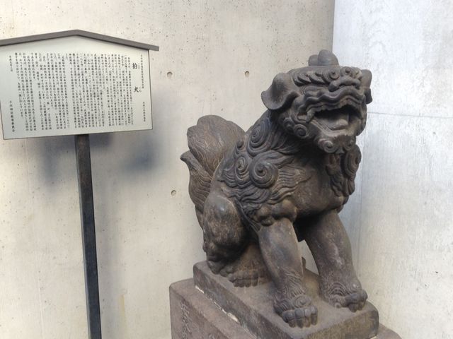 ����_�z�y�_��