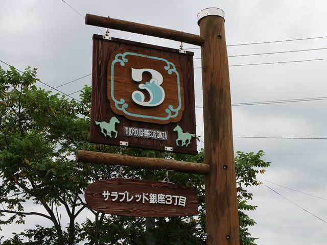 �Ŕ\��_�V���T���u���b�h���