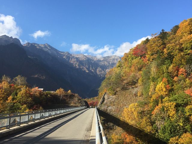 �g�t���������܂�_�k�A���v�X�勴