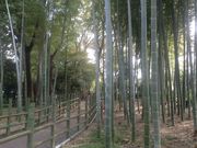 Ё[񂳂̂߂̂hΒn̓eʐ^3