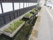 Ԃ񂳂̓aʂ^傤Ԃ̓eʐ^1