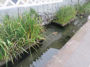 Ԃ񂳂̓aʂ^傤Ԃ̓eʐ^2