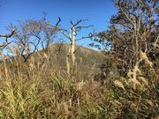 ike55jp̍͌RTH̓eʐ^1