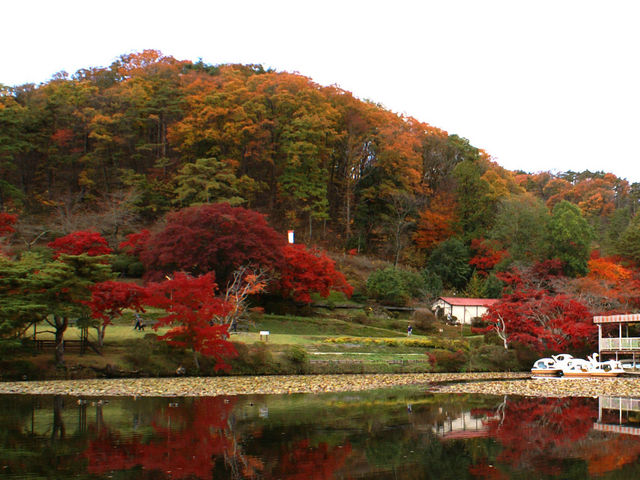 �ւ̕@�P_�ԂƗ��j�̋��@�ւ̕@