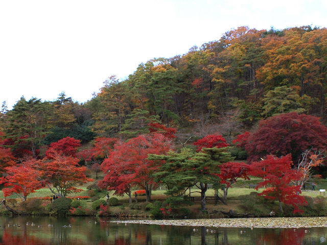 �ւ̕@�Q_�ԂƗ��j�̋��@�ւ̕@