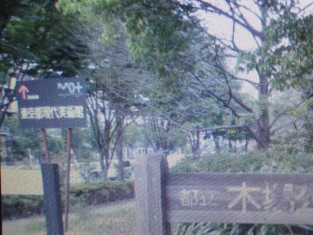 �؏����_�؏����