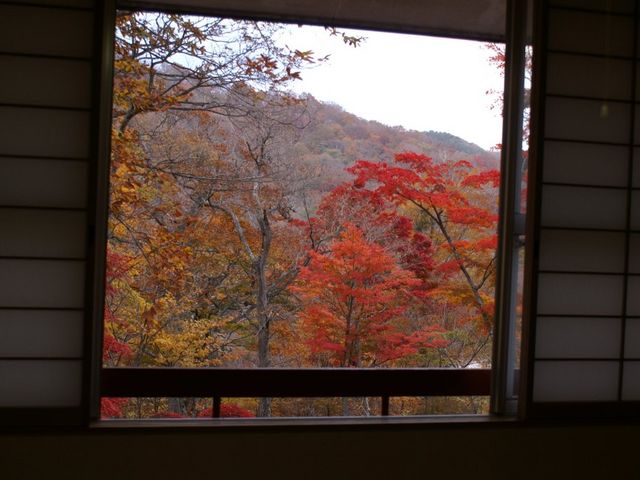 ��������̍g�t_�b�q�E�V�b�q����