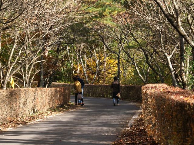 �V�����֌������ĂP_���̋��V����