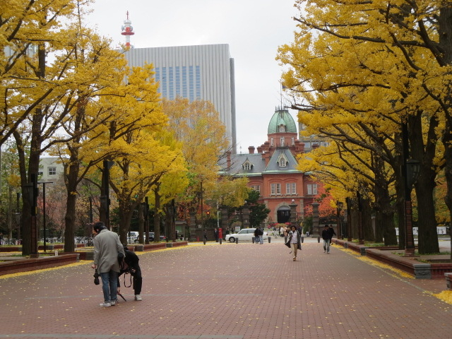 �����ɐ��ʂ̋�Ǖ���_�k�C�������{����(�Ԃ�񂪒���)