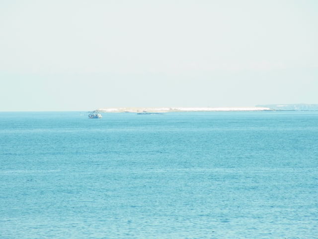 �h���������ĎB�����A���������̂����ꂩ�̓���(���{�����V�A��)�D�B_�[���z��