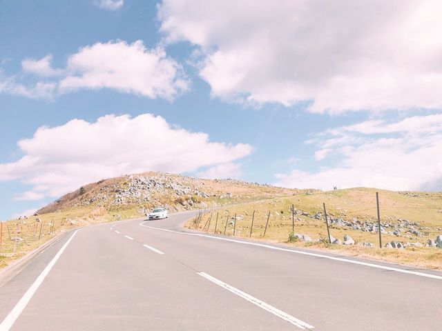 �V��̓�_�l���J���X�g��샖��