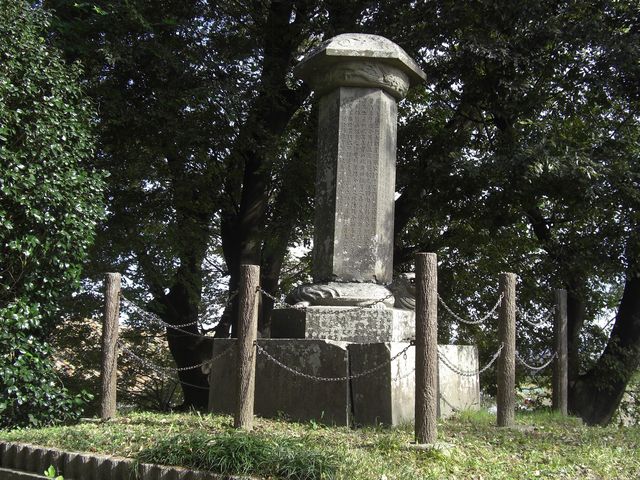 �x�m�˂̔�_�x�m�˂̔�