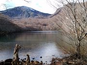 }X^O̒Ӗ쒹̐X̓eʐ^3