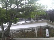 ���Ƃ��񂳂�̘œ����̓��e�ʐ^2