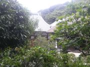 ���Ƃ��񂳂�̘œ����̓��e�ʐ^3