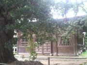 ���Ƃ��񂳂�̏�������̓��e�ʐ^5