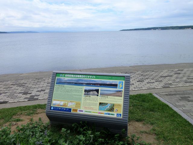 2017N816BejuacCvӂ̃WITCg_acC