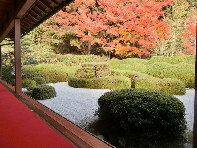 大池寺(蓬莱庭園)】アクセス・営業時間・料金情報 - じゃらんnet