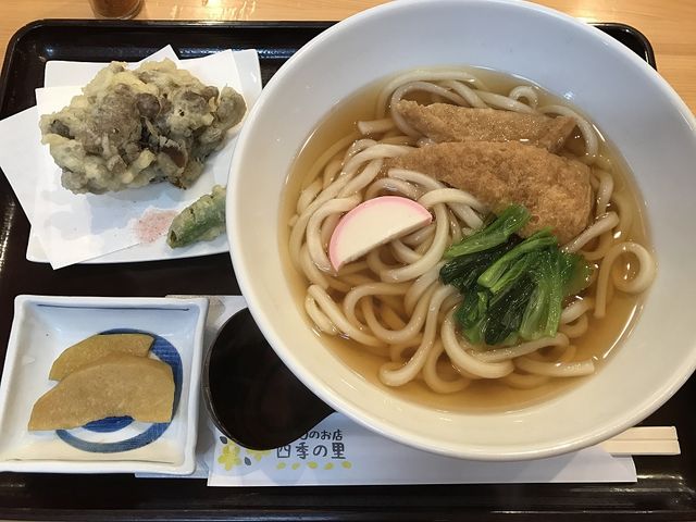 �����V�Ղ炤�ǂ�_�l�G�̗�