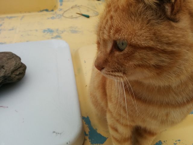 �D�̏オ���̎q�̎w��Ȃ̂悤�ł���_����