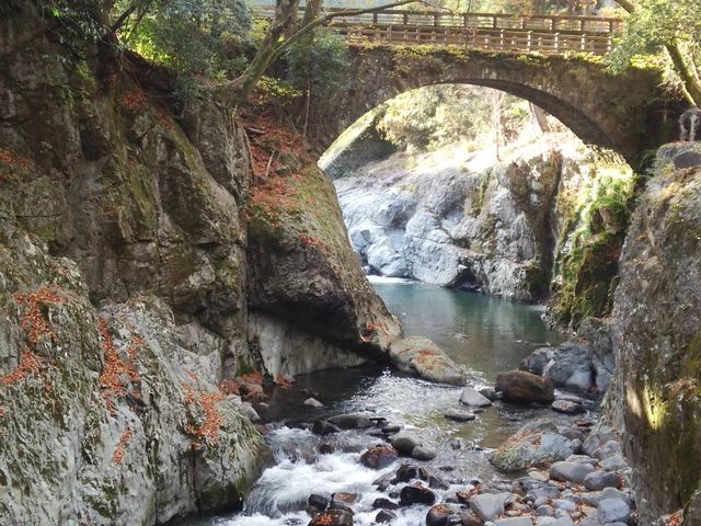 �g�t�̋G��_���ы�