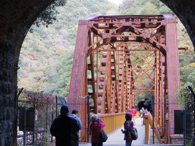 sɂg񕐌ɐ싴h1899NɏvHĂߑ㉻YƂׂlɂȂĂ܂B_iqmRp