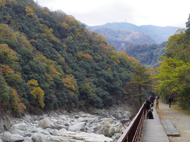 {s̔pՂ͌kJɗRioĂ܂B_iqmRp