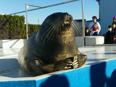 ̓mr[`h&mቤւ̓eʐ^1