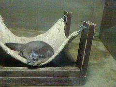 ju̐EW ANAggӂւ̓eʐ^1