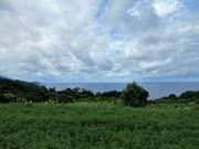 񂳂̍nC{C(OC{C)̓eʐ^1