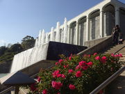 Ђ낳̐{{XgnEX̓eʐ^1