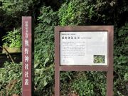 񂳂̌F_ЎБp̓eʐ^3