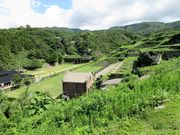 񂳂̎YƈYUR[XinRj̓eʐ^4