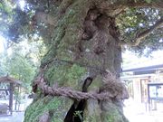 ���܂�����̉��ΐ_�Ђ̓��e�ʐ^1