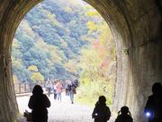 kiyohiko85jp̂iqmRpՂ̓eʐ^3