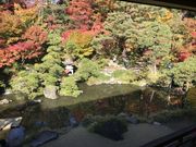 Ђł񂳂̓{@s`̓eʐ^2