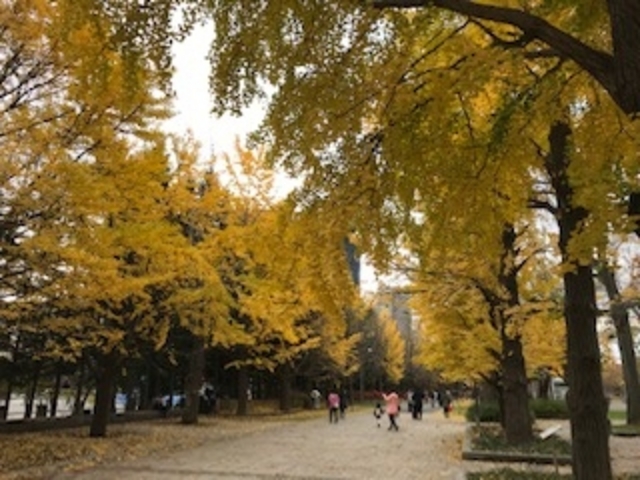 ���ꂢ�ł����I_��������