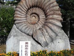 まさかずさんの美祢市化石館の投稿写真1