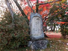 こぼらさんの芭蕉句碑(上野公園内）の投稿写真1