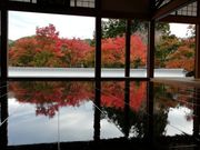 ̂ققC̕󓿎̓eʐ^1