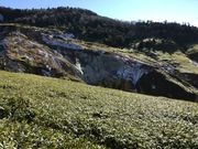 񂹂A _CGbgłB̖󐁂̓eʐ^1