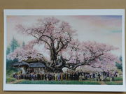 kiyohiko85jp����̎R���_����̓��e�ʐ^2